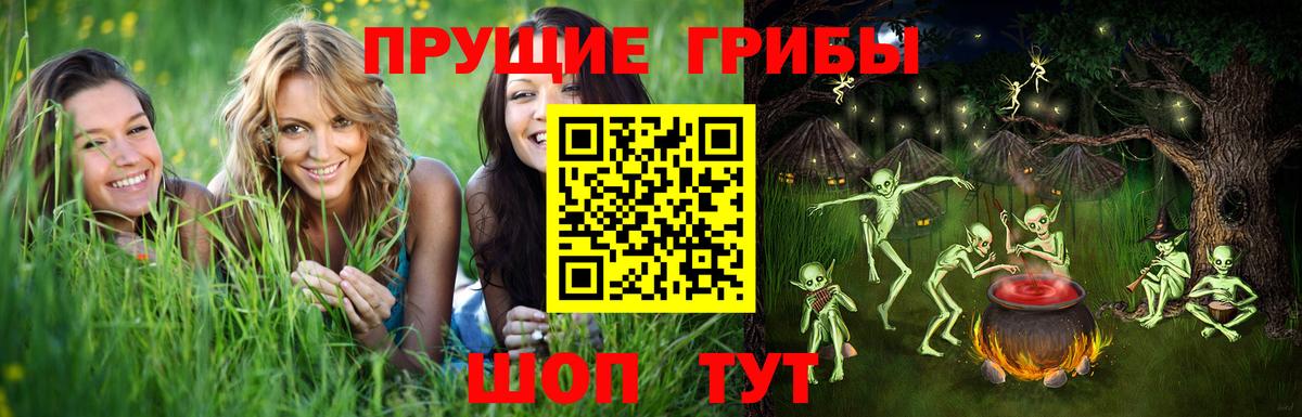 Галлюциногенные грибы GOLDEN TEACHER  Вход с VPN  Сарапул 