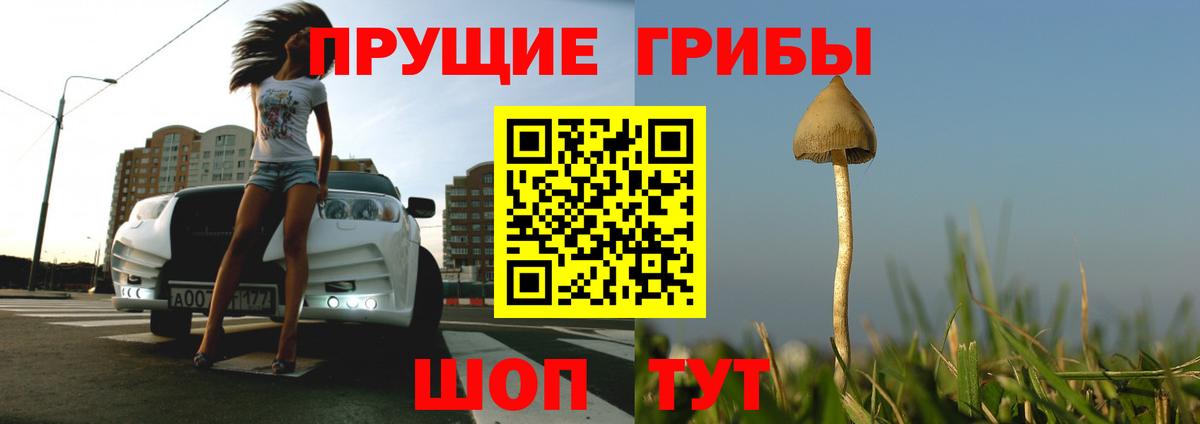 Псилоцибиновые грибы прущие грибы Сарапул